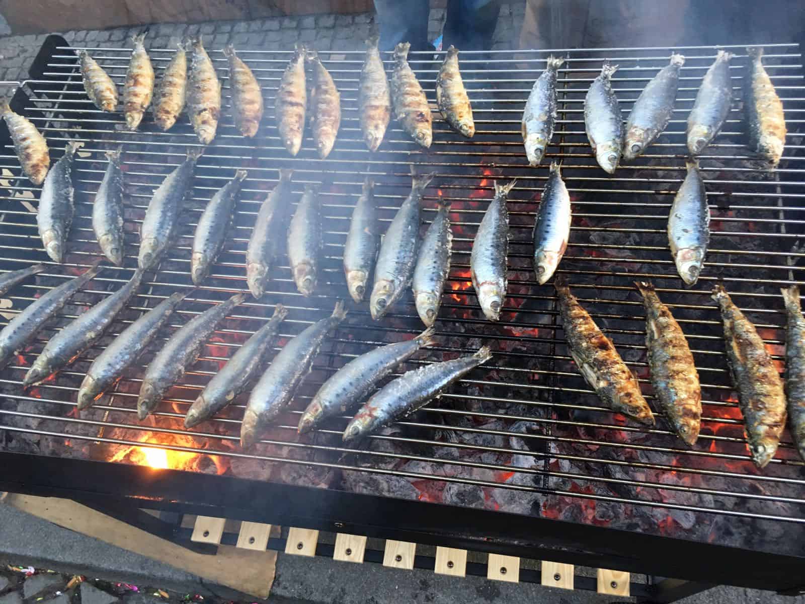 sardines lissabon festival